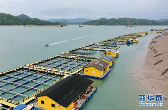 （社會）（2）福建福鼎：畬鄉特色產業助鄉村振興