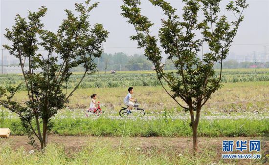 （新华全媒头条・走向我们的小康生活・图文互动）（14）城市，让人民生活更美好