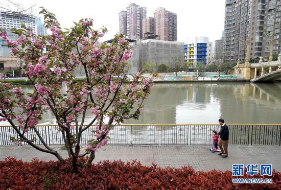 （新华全媒头条・走向我们的小康生活・图文互动）（12）城市，让人民生活更美好