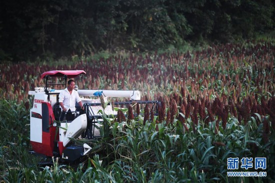 �����ã���1�����콭����Ƹ�������æ