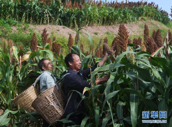 �����ã���3�����콭����Ƹ�������æ