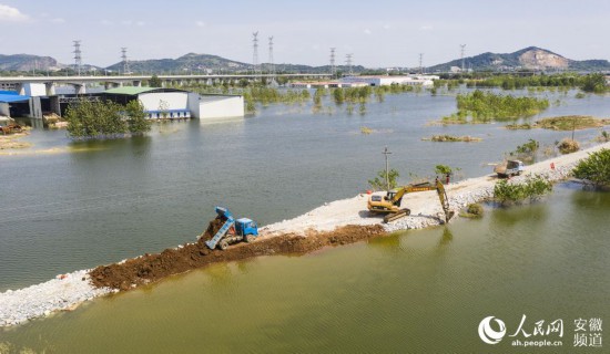 8月5日，怀宁县石镜乡正对区大圩水毁堤坝进行修复。张俊 摄