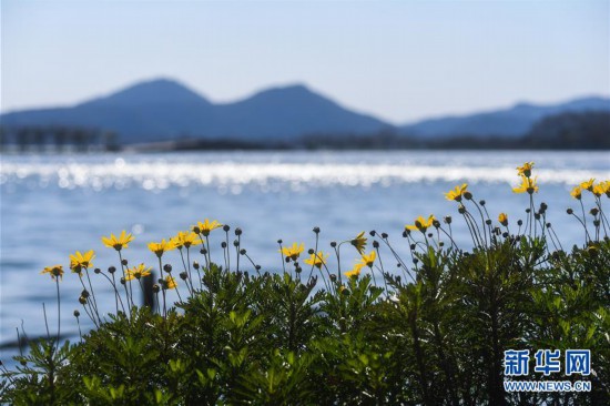 （鏡畫浙江）（2）西湖四季景不同|春