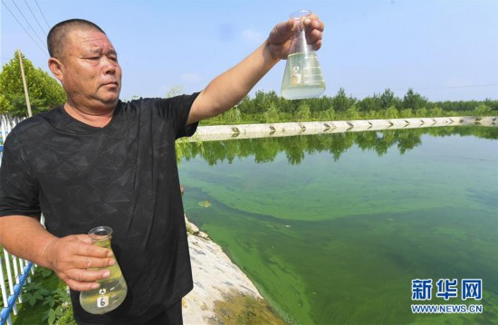 （環境）（2）河北大城：農村生活污水處理站助力鄉村振興