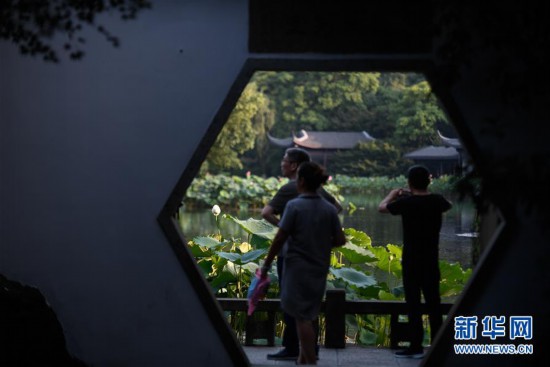 （鏡畫浙江）（2）西湖四季景不同|夏