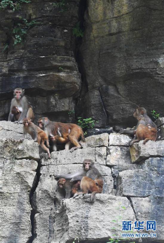 ����������8�������山����̬�������� Ұ��⨺�ۼ�