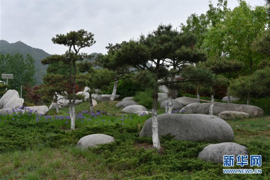 （新華視點·圖文互動）（2）警惕重金“移石造景”之風：有的景觀石一塊逾百萬元