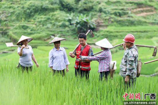 廣西融水雲端古寨上的“最美第一書記”