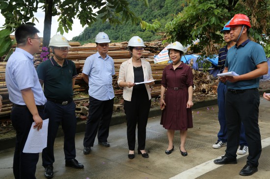 崇左市副市长,公安局局长朱园春到广西凭祥综合保税区就重大项目建设
