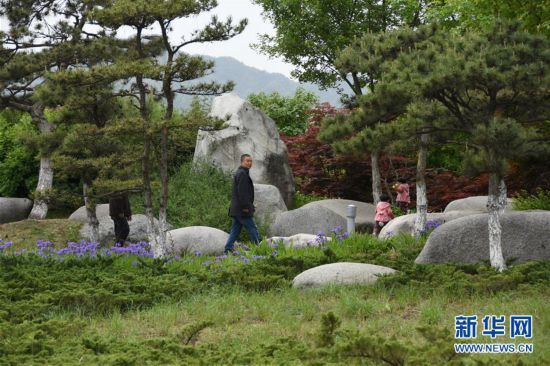 （新華視點·圖文互動）（1）警惕重金“移石造景”之風：有的景觀石一塊逾百萬元