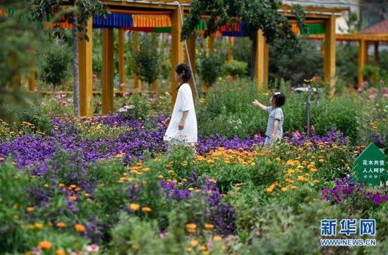 ���������ǵ�С�������4���¼��壺�ƺӰ��ߵ������ӱ�