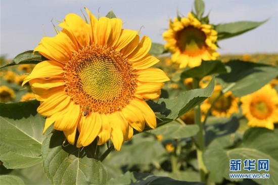 �������й�����4�����ྰ̩��ʮ��Ķ���տ���Ц��ӭ����