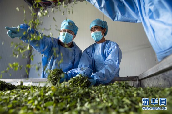 （脫貧攻堅）（6）大涼山深處“黃金路”