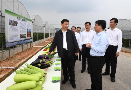 5月20日至22日，中共中央總書記、國家主席、中央軍委主席習近平在江西考察，主持召開推動中部地區崛起工作座談會並發表重要講話。這是習近平在贛州市於都縣梓山富硒蔬菜產業園考察調研。