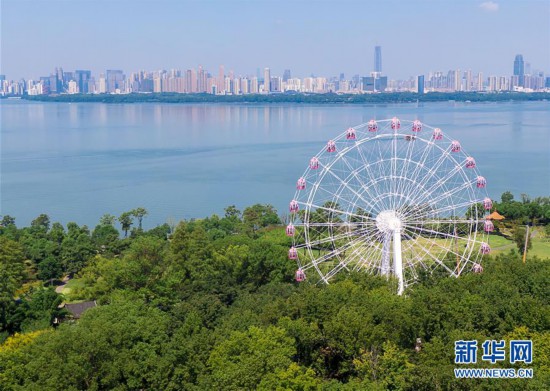 ����ᣩ�人��������֮�ۡ�Ħ������ʽ����
