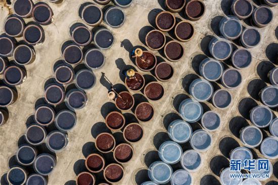 ����ᣩ��2�����꽴԰��������ɹ�� ��ͳ��Ʒ��Ʈ��԰