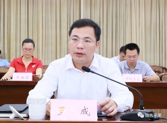 平果市人民政府市长罗成讲话