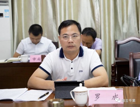 平果市人民政府市长罗成在会上讲话