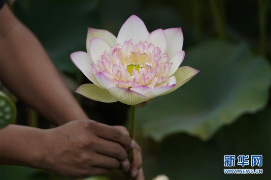 #��ͼƬ���£���6����ҵ�ں���