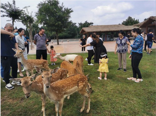 山東章丘：全域旅游擘畫美好生活