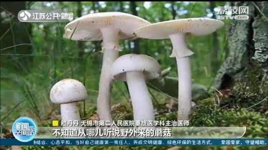 山裡的野蘑菇不要採食 無錫父女“嘗鮮”中毒住進重症監護室