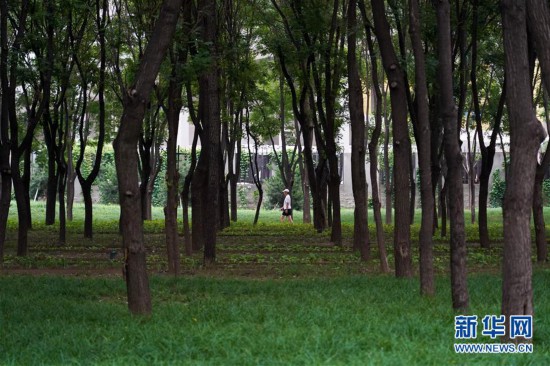 （走向我們的小康生活）（4）北京：老百姓家門口的綠地公園