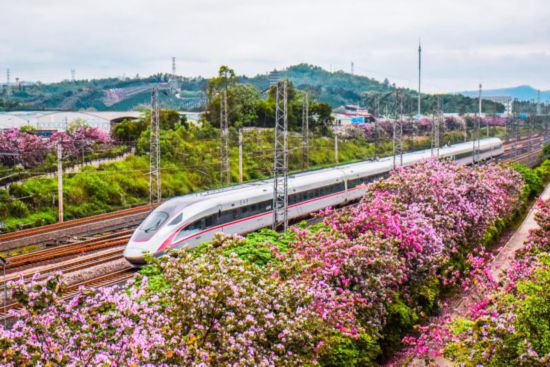 乘高鐵東風，廣西步入脫貧“快車道”