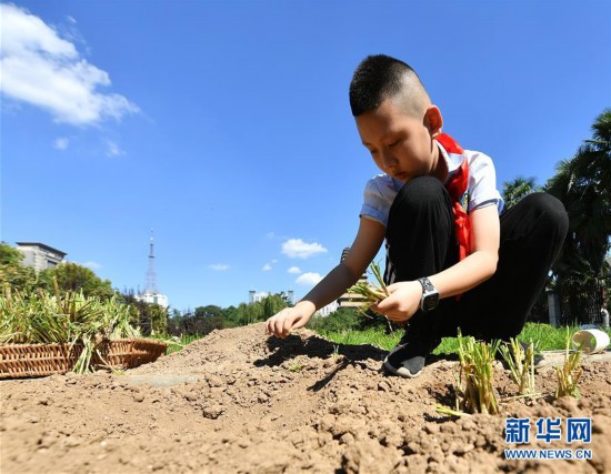 （教育）（2）西安：農耕體驗迎開學