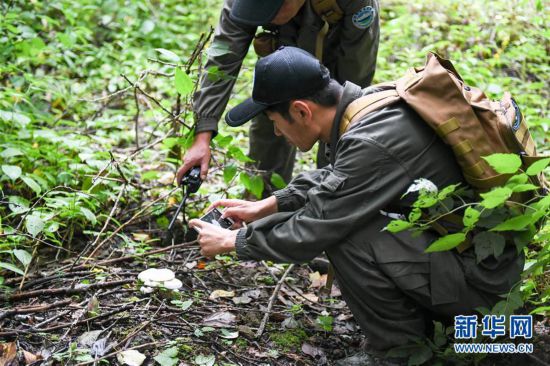 ����������5������ɽ�ֺ����ػ��ߡ�