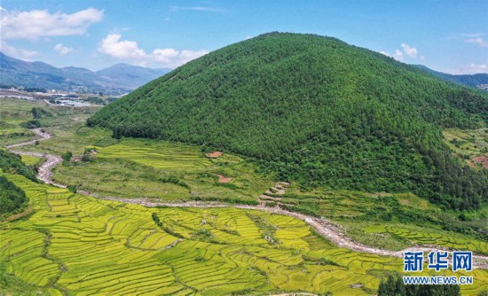 （環境）（3）瞰大涼山美麗田園風光