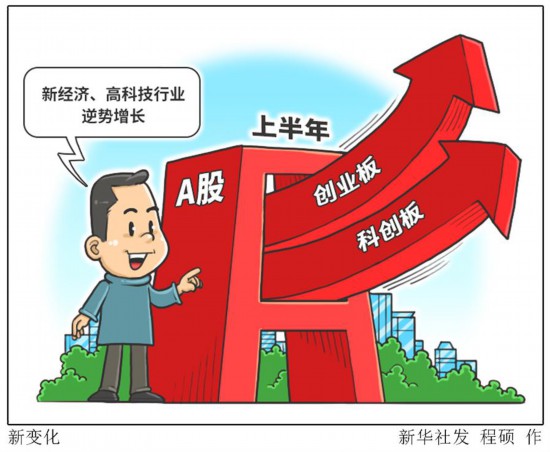 （圖表·漫畫）﹝財經聚焦·上市公司半年報﹞新變化