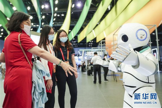 (2020服贸会)(6)走进服贸会综合展区