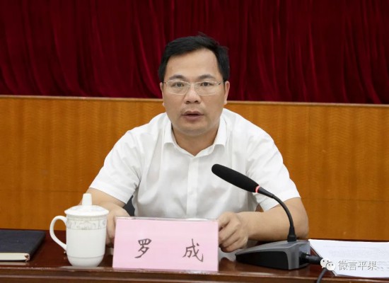 广西频道 专题视窗 平果视窗 平果要闻   罗成指出,耕地提质改造