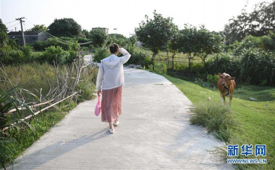 （圖片故事）（7）海島上的支教女教師