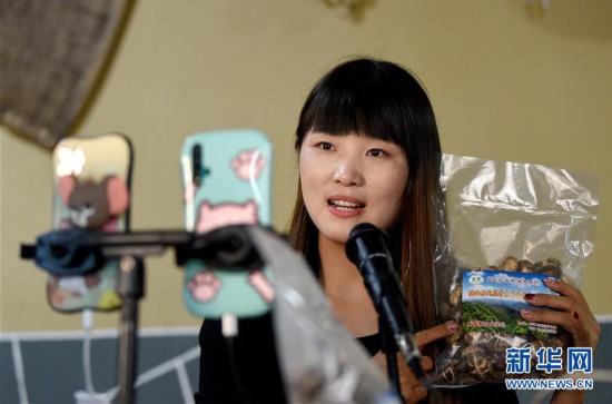 （圖片故事）（10）秦嶺山區(qū)女主播 抱著雞兒做直播 