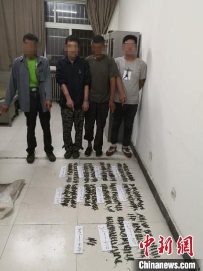 河北涿州：4名男子獵捕400余隻無蹼壁虎被刑拘