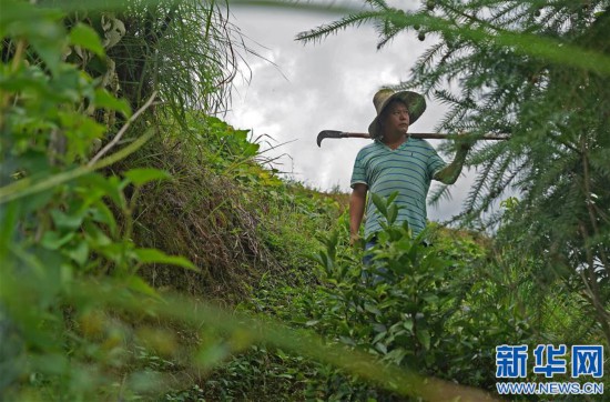 ����ƶ���ᡤͼƬ���£���6���İ�̥����ƶ��