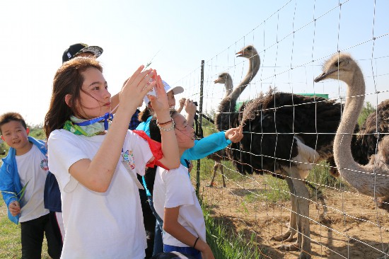 圖為孩子們在庫布其沙漠認識各類動物。資料圖片.jpg