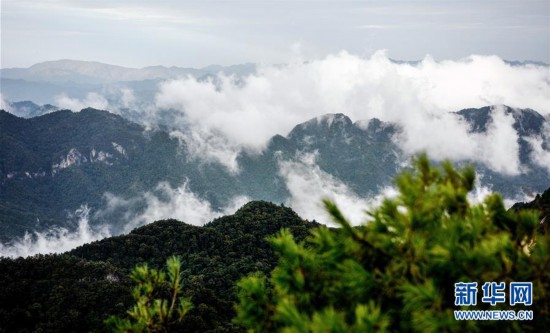 （環境）（4）雲起峰巒間 紫柏山如畫