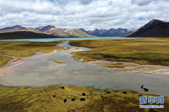 �������й�����6��׳�����к�