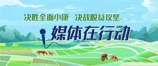 一起看！小康采访路上，三位记者使出"新武器"