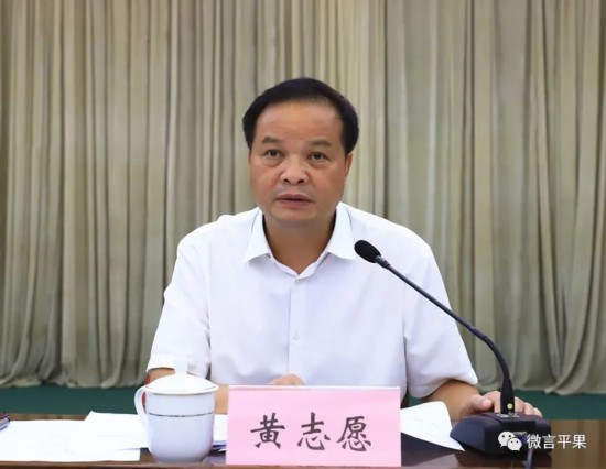 百色市人大常委会副主任,平果市委书记黄志愿讲话