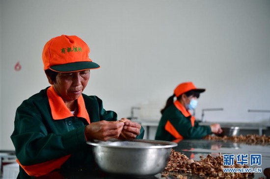 սʤƶᡤͼĻ2ﴨⶼƼ롱 δءţɽ±