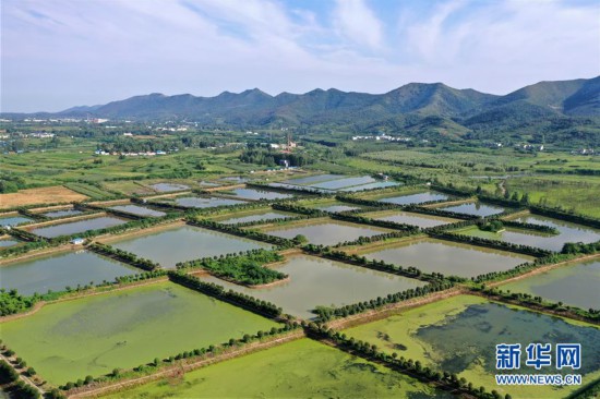 （圖文互動）（9）河南淅川：用綠色守護京津“水缸”——伏牛山看新變