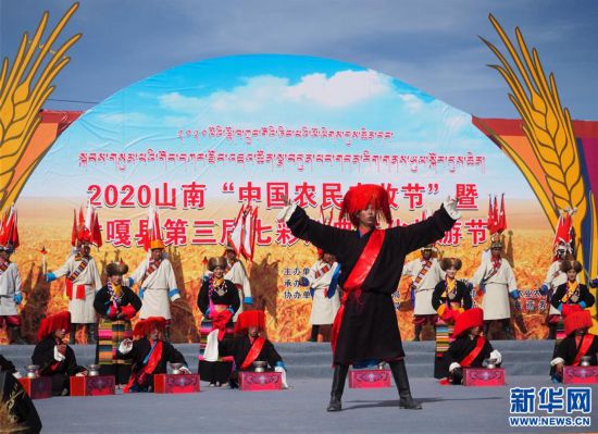 （發新華網西藏頻道）西藏：山南農牧民喜迎豐收（3）
