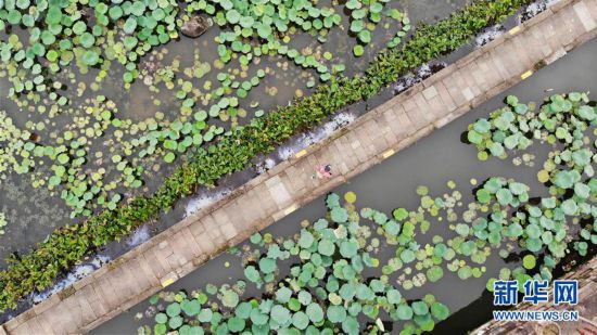 （坐著高鐵看中國）（12）探訪合福高鐵沿線的千年古村