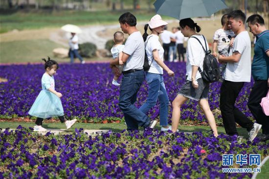 (新华全媒头条·图文互动)(6)大美中国看活力——来自国庆黄金周的一线观察