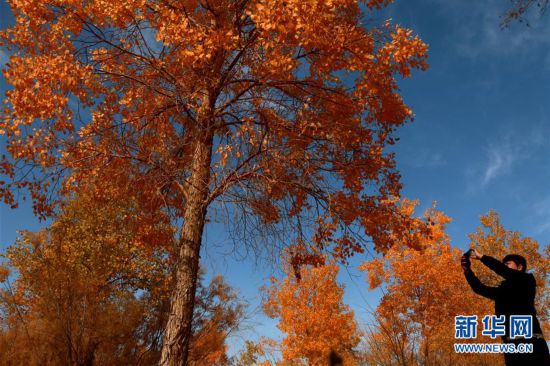 #���»��ӽ磩��3������ػͣ���Į����������