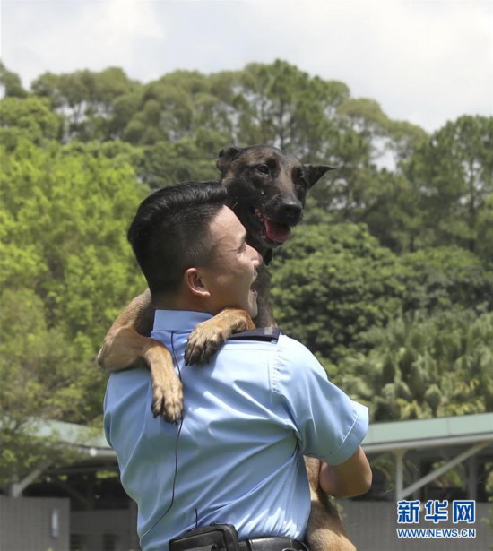 （港澳台·香港故事·图文互动）（13）香港警犬队领犬员和他的“家人”