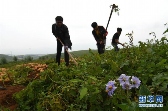 （新華全媒頭條·走向我們的小康生活·決戰決勝脫貧攻堅·圖文互動）（6）昭通之變——全國貧困人口最多的地級市跨越記